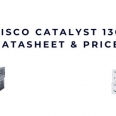 Catalyst 1300