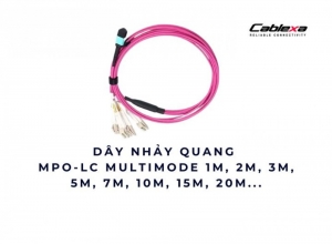 Dây nhảy quang MPO-LC Multimode