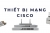 Thiết bị mạng Cisco: Giải pháp ổn định và bảo mật cho doanh nghiệp