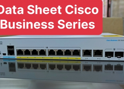 Data Sheet Cisco Busines