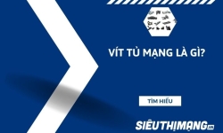 Vít tủ mạng là gì?