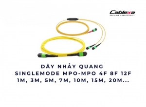 Dây nhảy quang Singlemode MPO-MPO